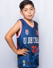 Camiseta U de Chile León