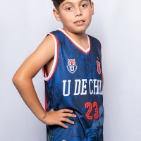 Camiseta U de Chile León