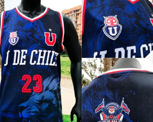 U de Chile